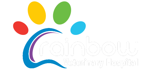 Rainbow Veterinary Hospital